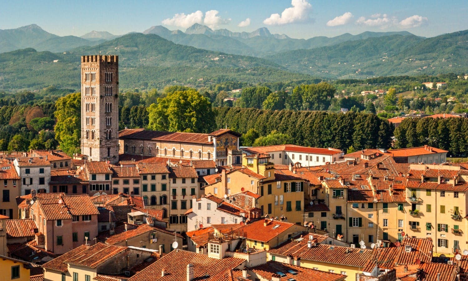 Lucca city view