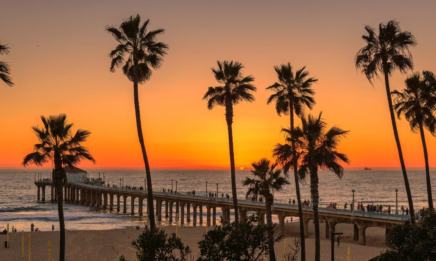 Los Angeles city view
