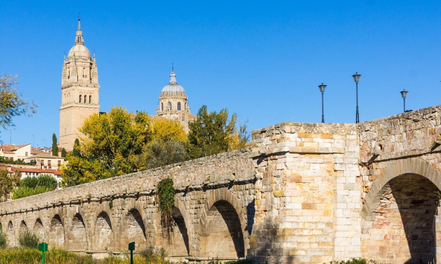 Salamanca city view