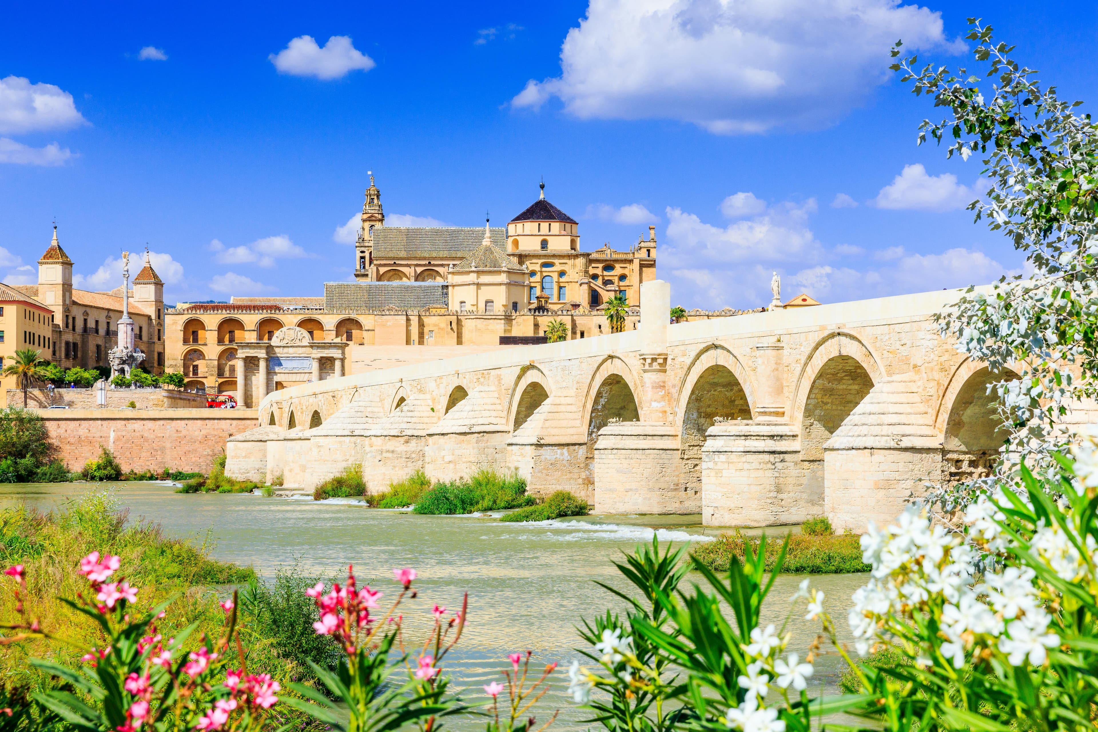 Cordoba city view