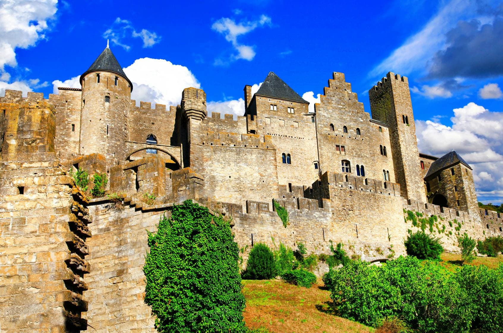 Carcassonne city view