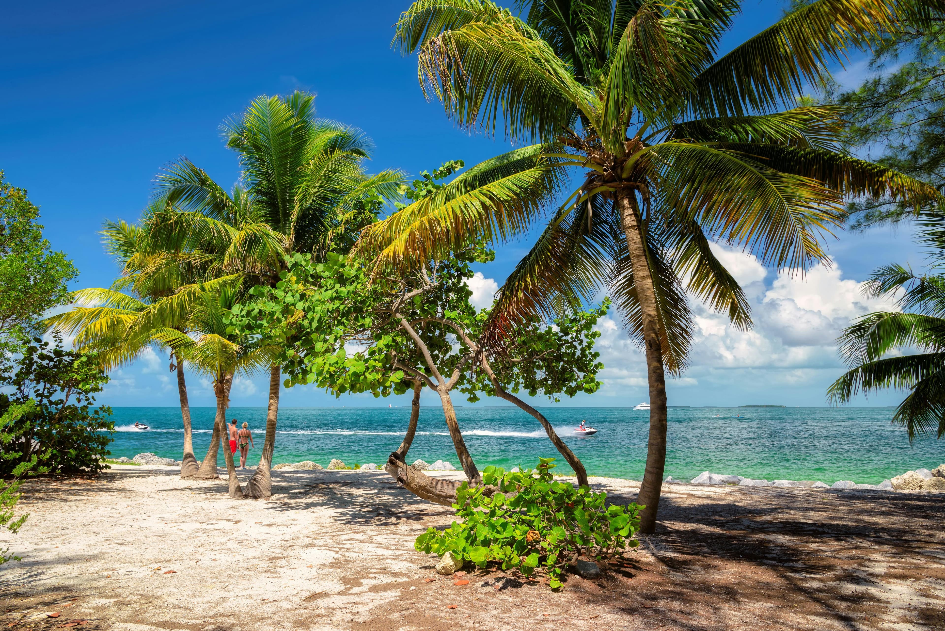 Key West city view