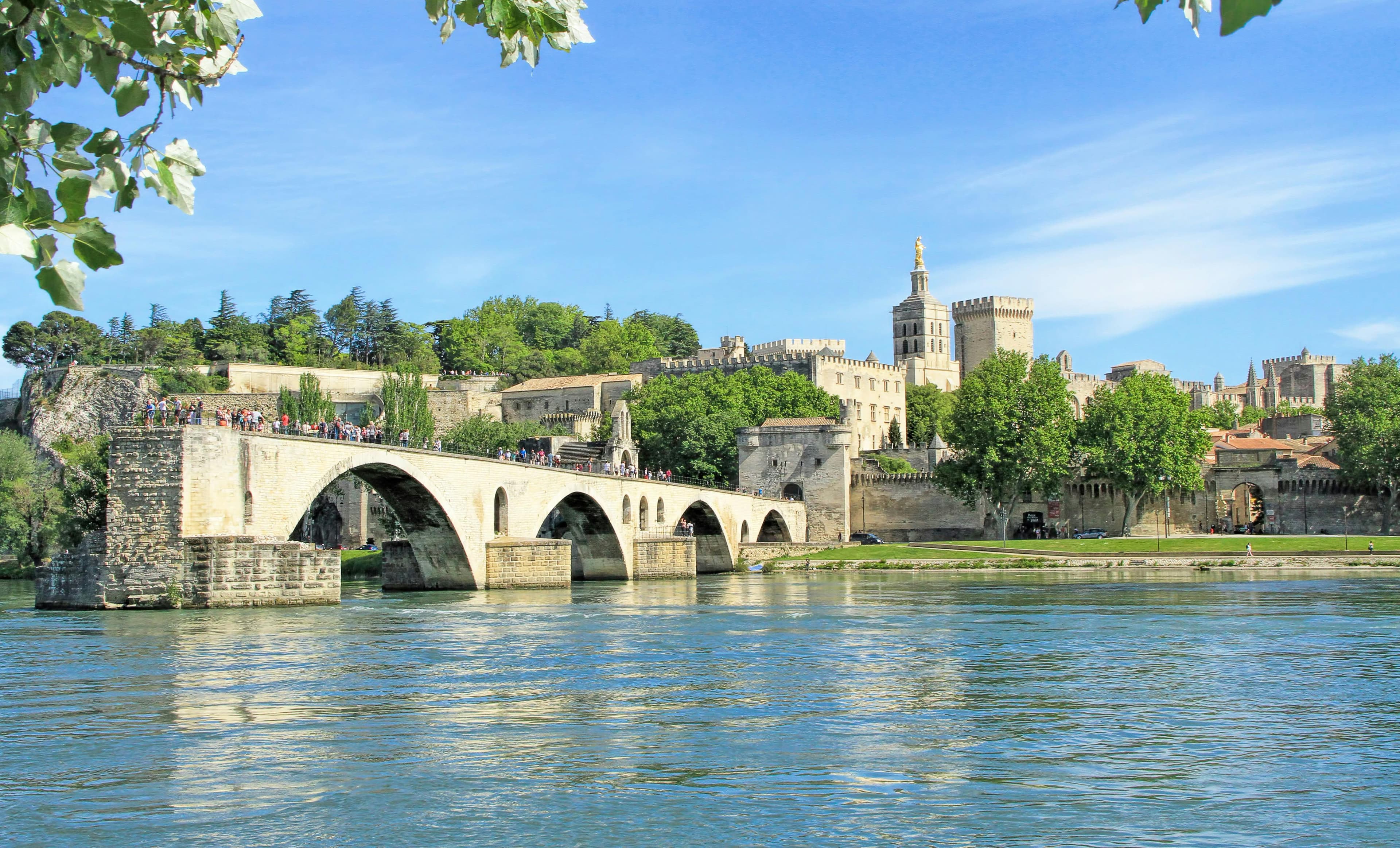 Avignon city view