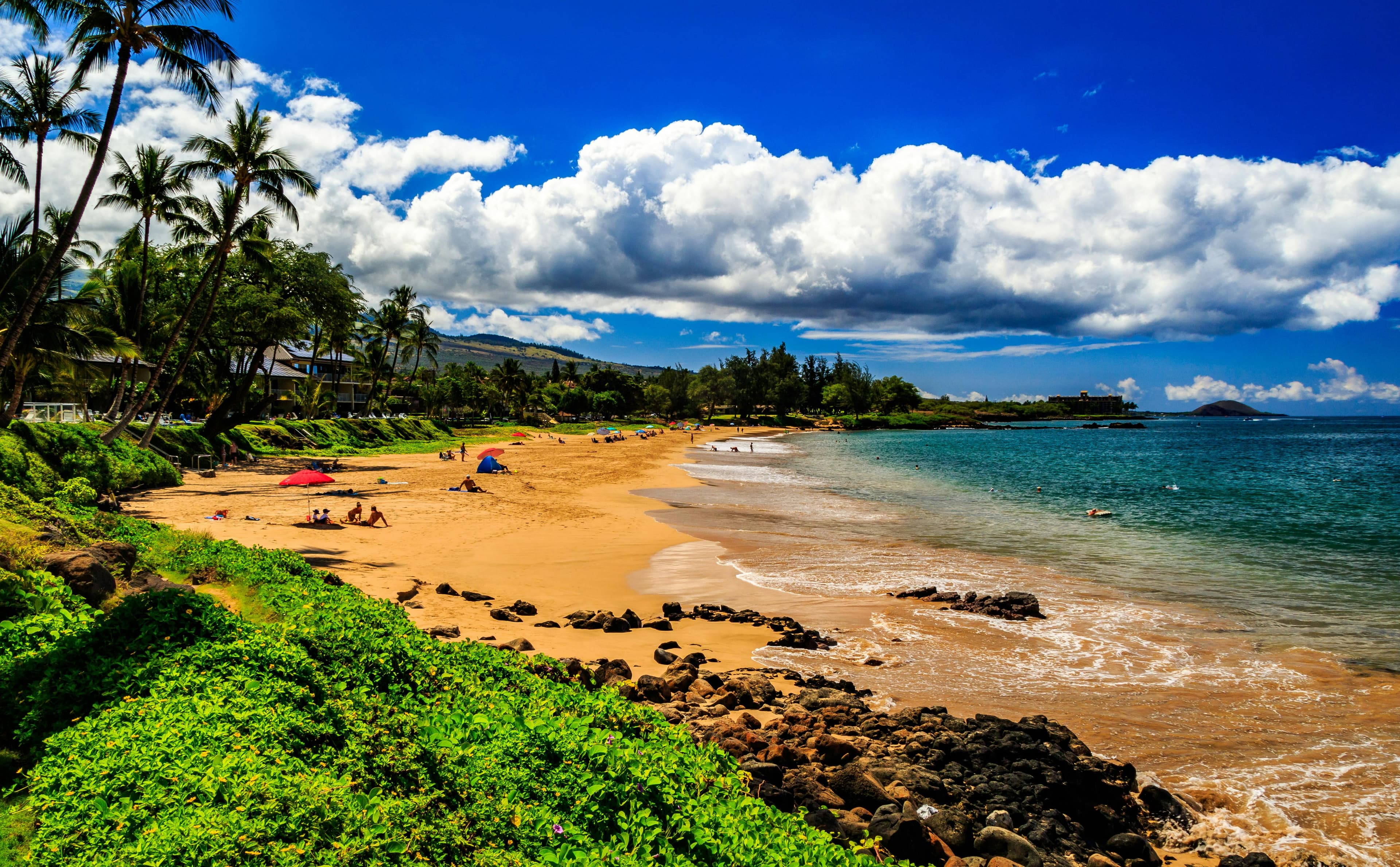 Maui city view