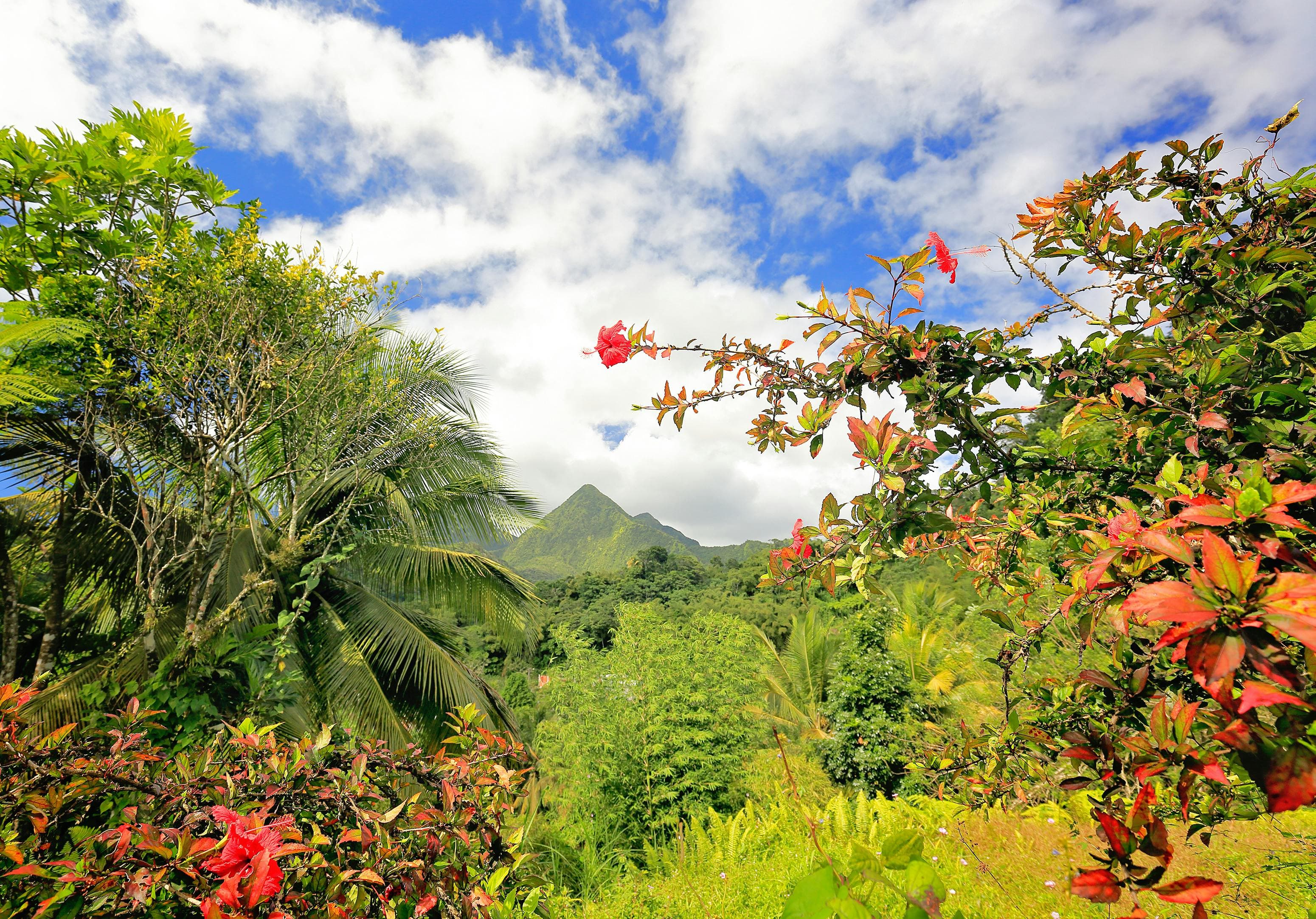 Martinique city view