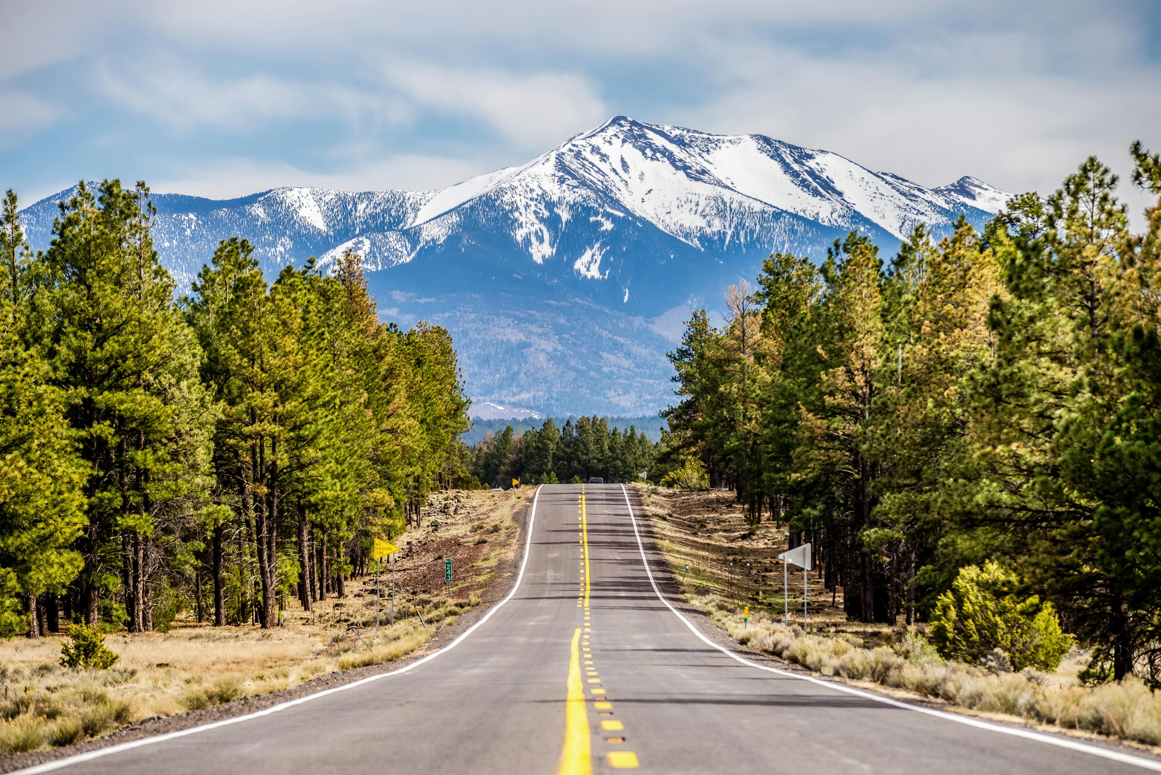 Flagstaff city view