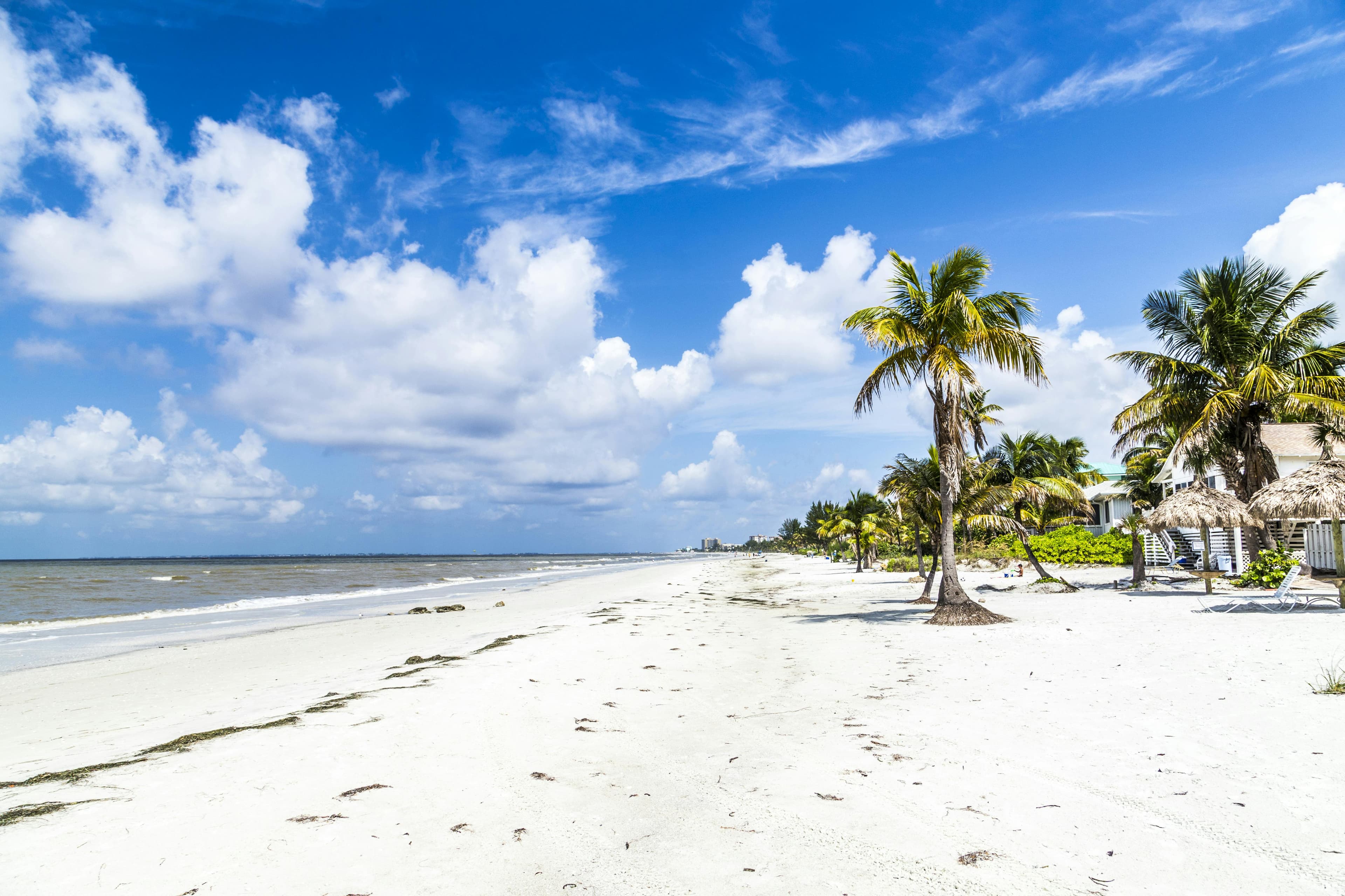 Fort Myers city view