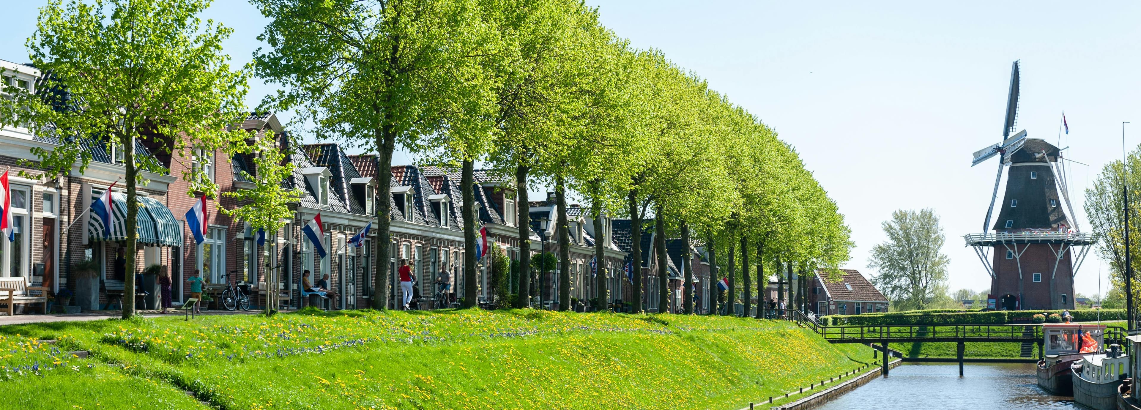 Dokkum city view