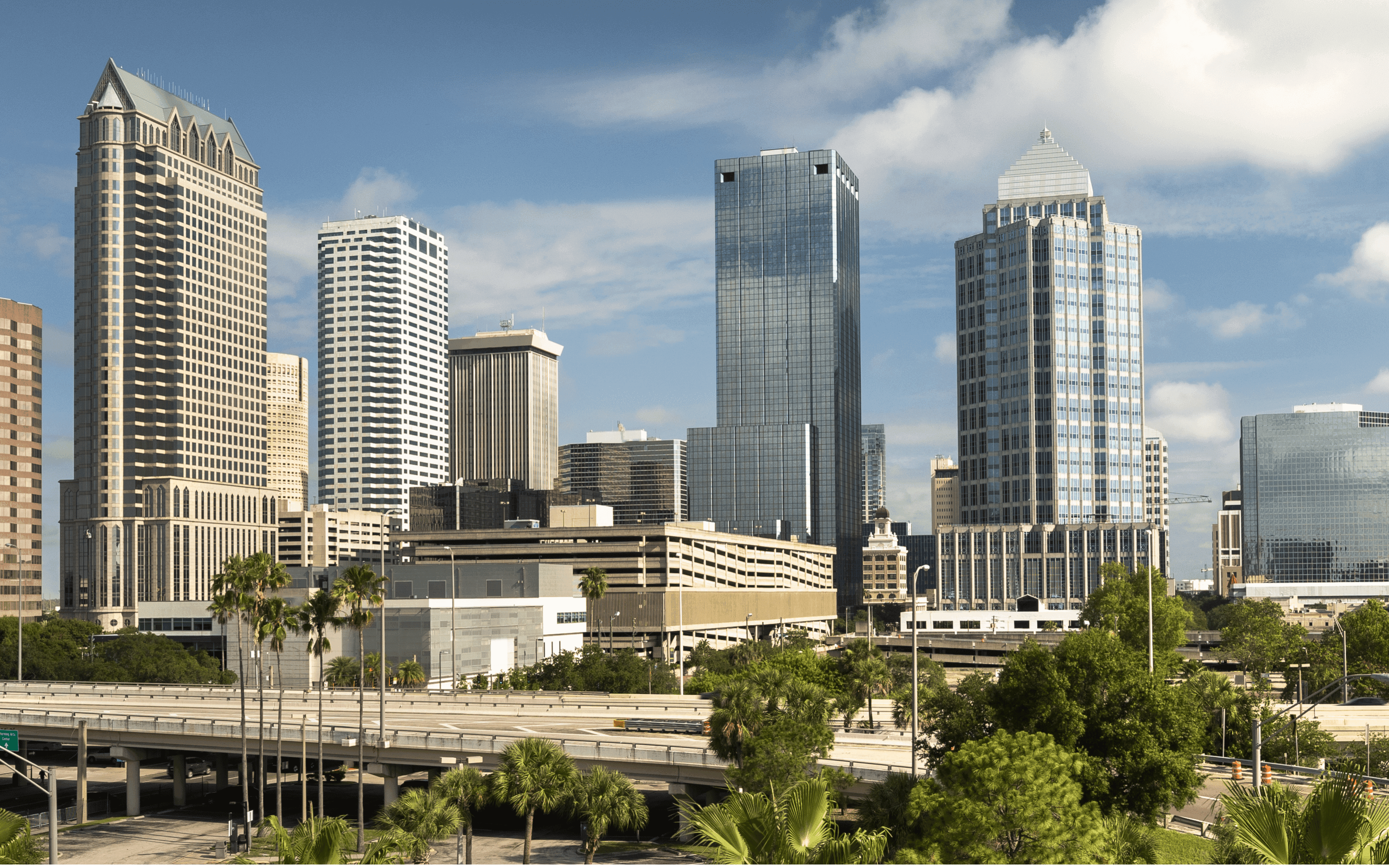 Tampa city view