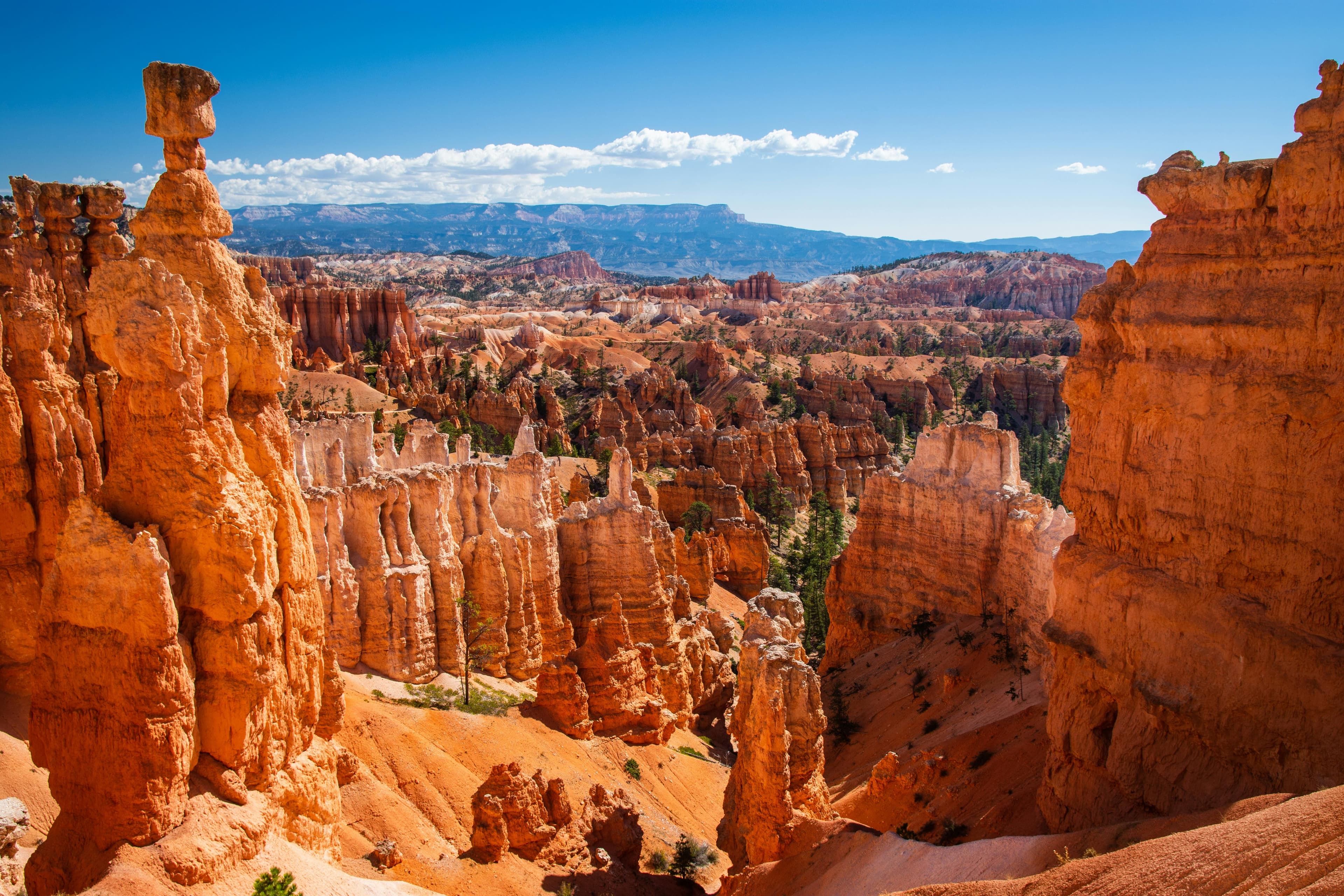 Bryce Canyon City city view